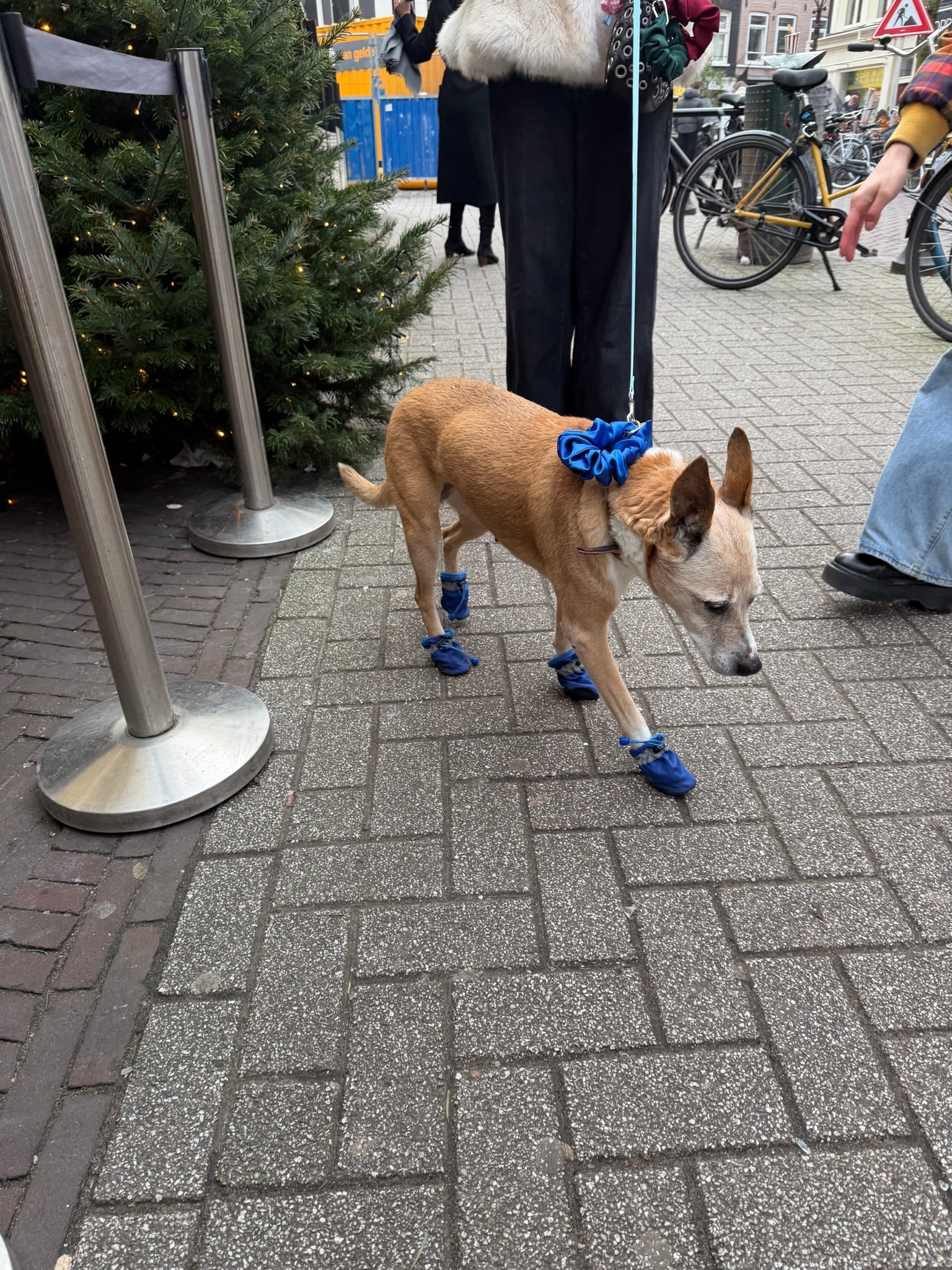 RIDE 03 - Right now (Na Na Na)