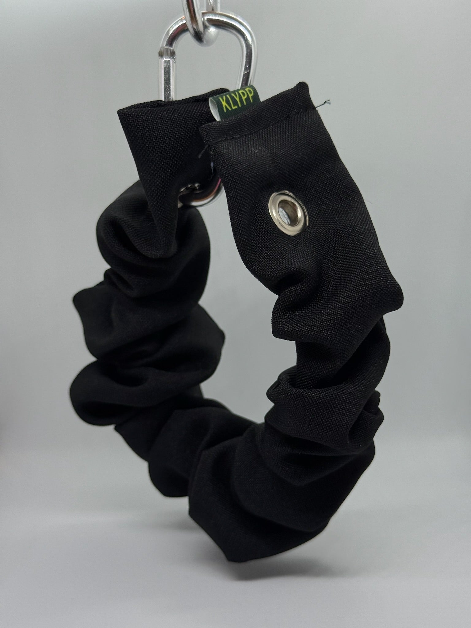 RIDE 01 - Victory Lap