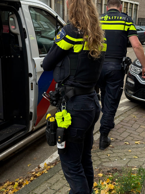 RIDE 01 - Sound of da police